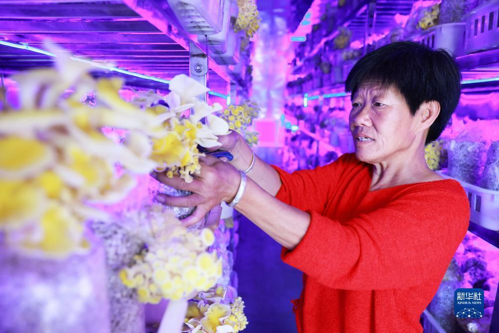 印尼分分彩官方网站